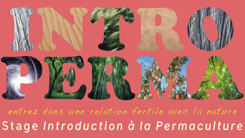 intriduction permaculture