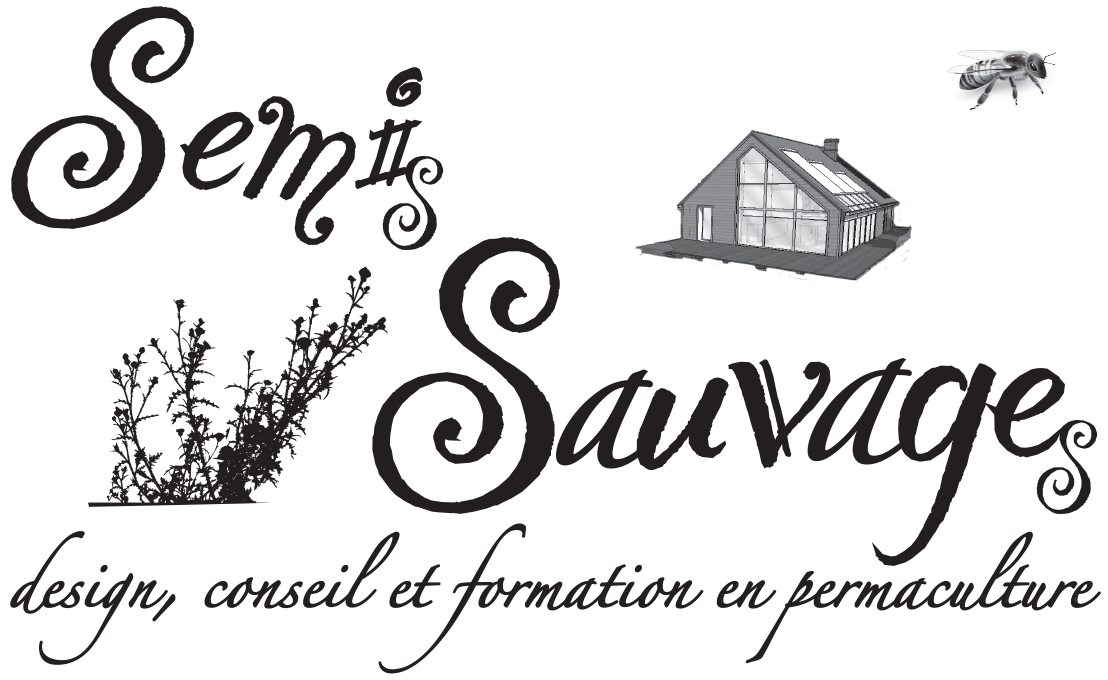 logo semi-sauvages