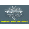 Consultation de démarrage, design en permaculture