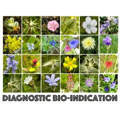Diagnostic Bio-indication
