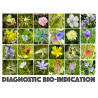 Diagnostic Bio-indication